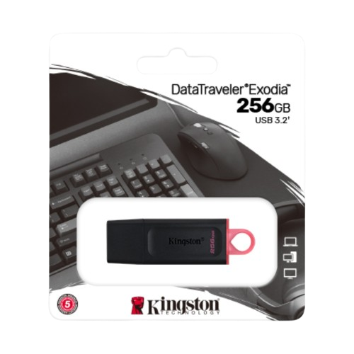 Modulo USB 256GB Kingston